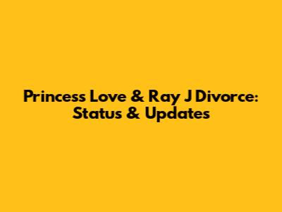 Princess Love & Ray J Divorce: Status & Updates