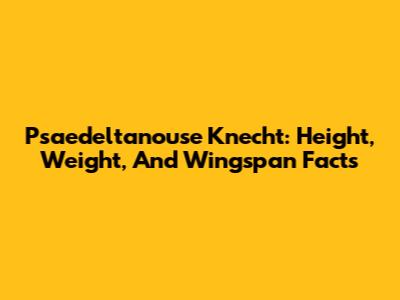 Psaedeltanouse Knecht: Height, Weight, And Wingspan Facts