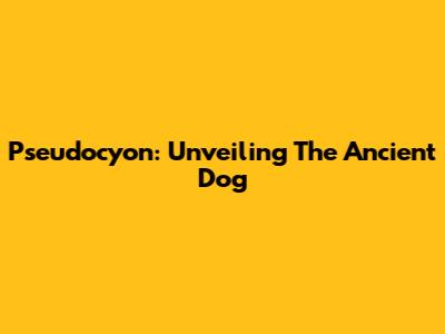 Pseudocyon: Unveiling The Ancient Dog