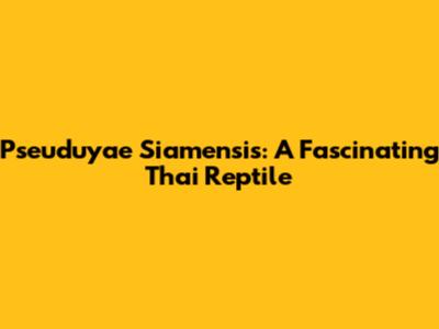 Pseuduyae Siamensis: A Fascinating Thai Reptile