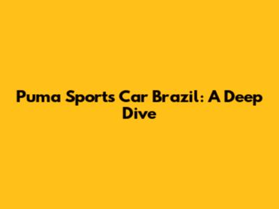 Puma Sports Car Brazil: A Deep Dive