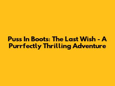 Puss In Boots: The Last Wish - A Purrfectly Thrilling Adventure