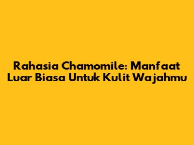 Rahasia Chamomile: Manfaat Luar Biasa Untuk Kulit Wajahmu