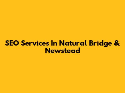 SEO Services In Natural Bridge & Newstead