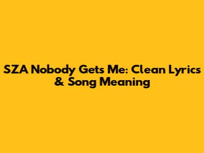 SZA Nobody Gets Me: Clean Lyrics & Song Meaning