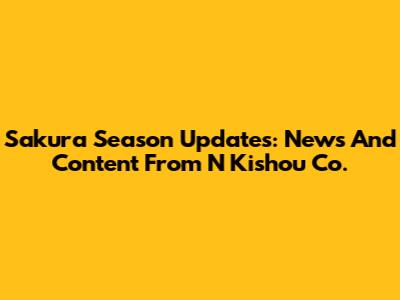 Sakura Season Updates: News And Content From N Kishou Co.