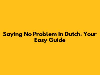 Saying 'No Problem' In Dutch: Your Easy Guide