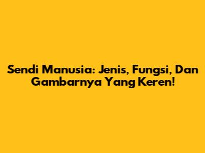 Sendi Manusia: Jenis, Fungsi, Dan Gambarnya Yang Keren!