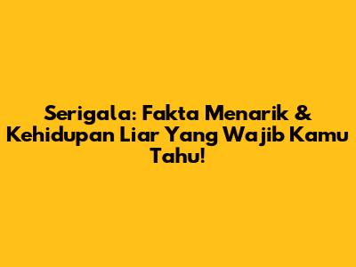 Serigala: Fakta Menarik & Kehidupan Liar Yang Wajib Kamu Tahu!