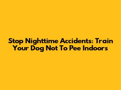 Stop Nighttime Accidents: Train Your Dog Not To Pee Indoors
