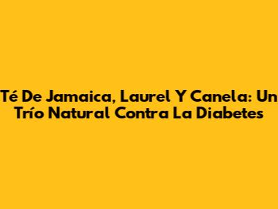 Té De Jamaica, Laurel Y Canela: Un Trío Natural Contra La Diabetes