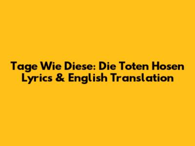 Tage Wie Diese: Die Toten Hosen Lyrics & English Translation