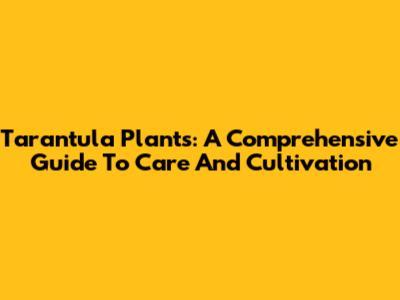 Tarantula Plants: A Comprehensive Guide To Care And Cultivation