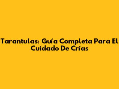 Tarantulas: Guía Completa Para El Cuidado De Crías