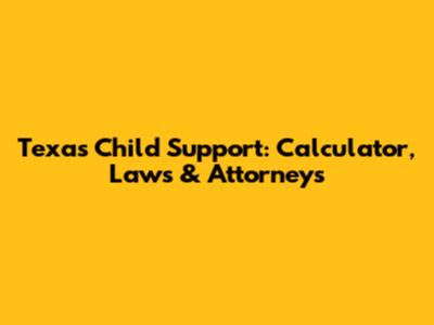 Texas Child Support: Calculator, Laws & Attorneys