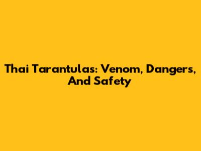 Thai Tarantulas: Venom, Dangers, And Safety