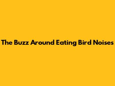 The Buzz Around Eating Bird Noises