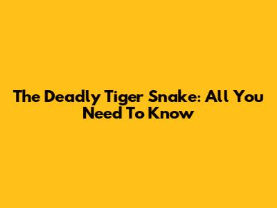 The Deadly Tiger Snake: All You Need To Know