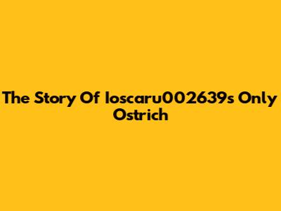 The Story Of Ioscaru002639's Only Ostrich