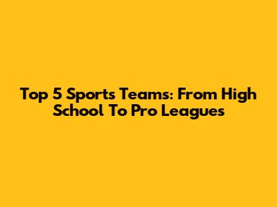 Top 5 Sports Teams: From High School To Pro Leagues