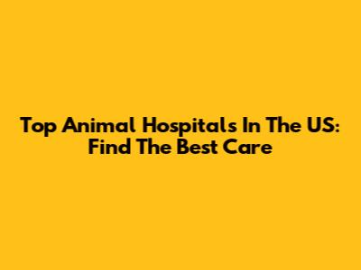 Top Animal Hospitals In The US: Find The Best Care