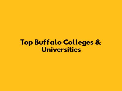 Top Buffalo Colleges & Universities