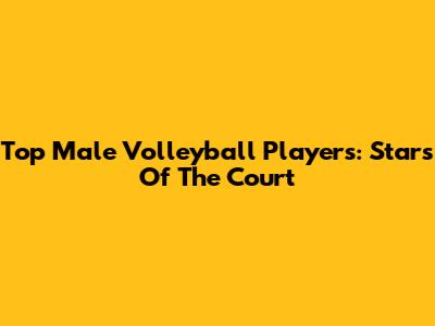 Top Male Volleyball Players: Stars Of The Court