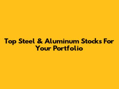 Top Steel & Aluminum Stocks For Your Portfolio