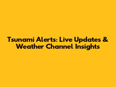 Tsunami Alerts: Live Updates & Weather Channel Insights