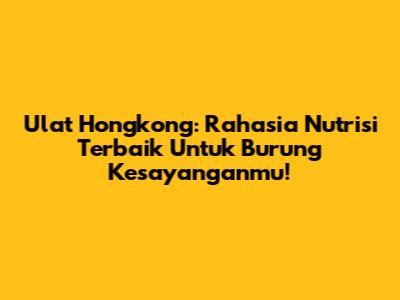 Ulat Hongkong: Rahasia Nutrisi Terbaik Untuk Burung Kesayanganmu!