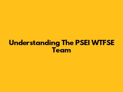 Understanding The PSEI WTFSE Team