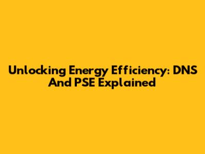 Unlocking Energy Efficiency: DNS And PSE Explained