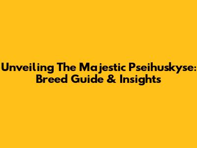 Unveiling The Majestic Pseihuskyse: Breed Guide & Insights