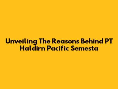 Unveiling The Reasons Behind PT Haldirn Pacific Semesta