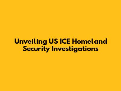 Unveiling US ICE Homeland Security Investigations