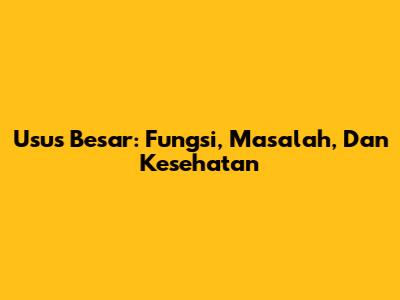 Usus Besar: Fungsi, Masalah, Dan Kesehatan