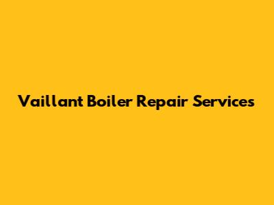 Vaillant Boiler Repair Services