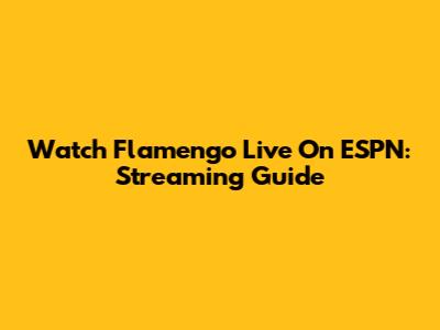 Watch Flamengo Live On ESPN: Streaming Guide