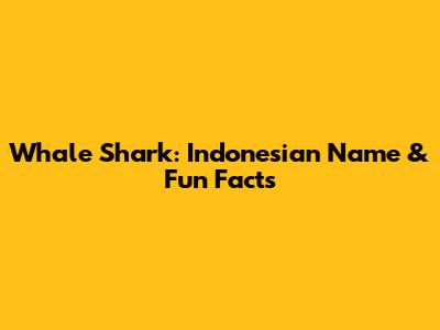 Whale Shark: Indonesian Name & Fun Facts