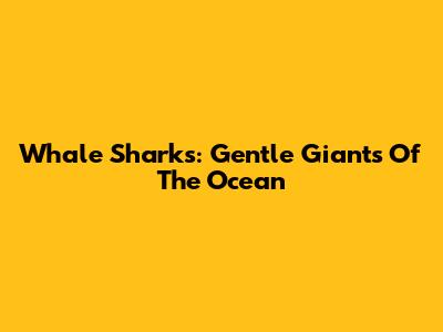 Whale Sharks: Gentle Giants Of The Ocean