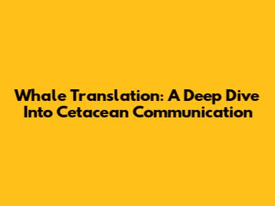 Whale Translation: A Deep Dive Into Cetacean Communication