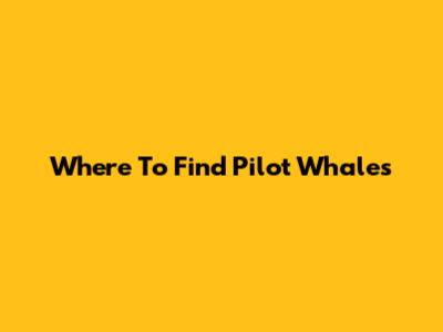 Where To Find Pilot Whales
