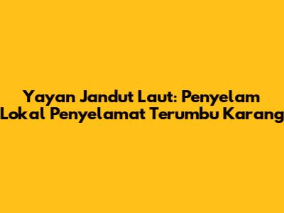Yayan Jandut Laut: Penyelam Lokal Penyelamat Terumbu Karang